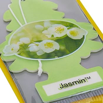 LT CF - Jasmine 24pk