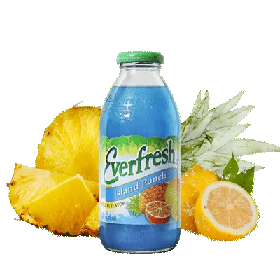 EF Island Punch 12/16fl.oz.