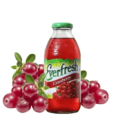 [EF16CR] EF Cranberry 12/16fl.oz. 